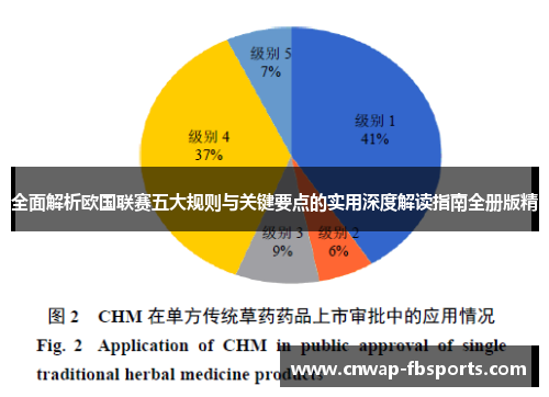 全面解析欧国联赛五大规则与关键要点的实用深度解读指南全册版精